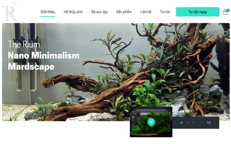 cửa hàng cá cảnh The Rium